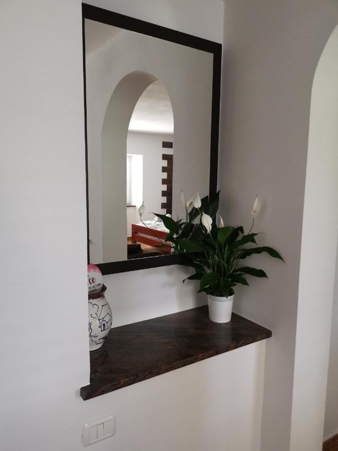 Apartma Vatovec Анкаран Екстериор снимка